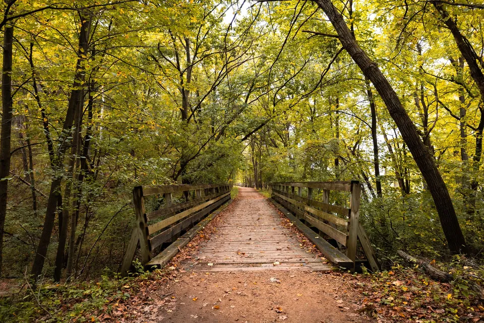 A beautiful wooden bridge leads through a lush forest in autumn, showcasing vibrant fall colors.