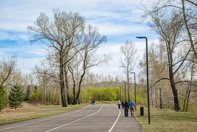 People enjoying a leisurely walk in a picturesque park during springtime.