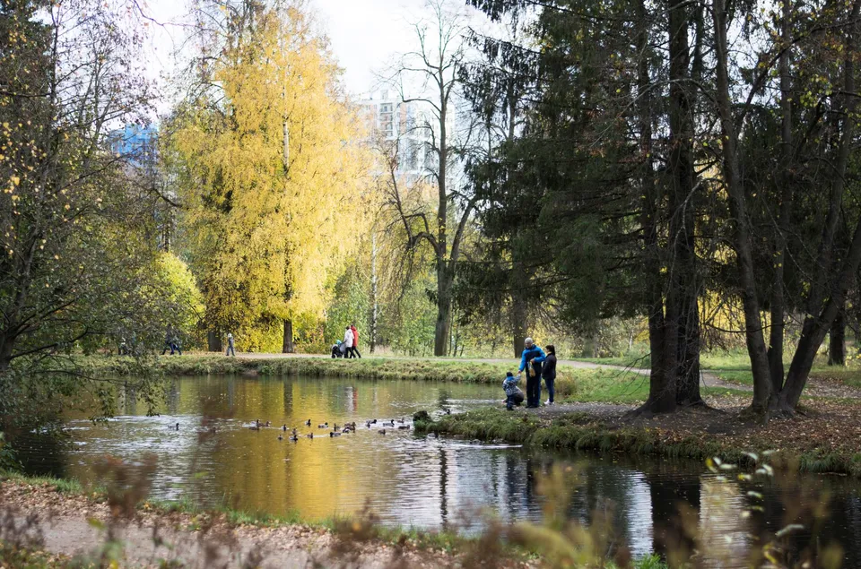 Families enjoying a walk in the park by the lake during a crisp autumn day, surrounded by vibrant foliage and nature.